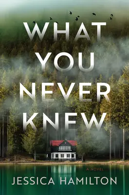 Lo que nunca supiste - What You Never Knew