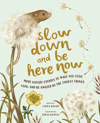 Despacio y ahora aquí: Más historias de la naturaleza para detenerse, mirar y asombrarse ante las cosas más pequeñas - Slow Down and Be Here Now: More Nature Stories to Make You Stop, Look, and Be Amazed by the Tiniest Things