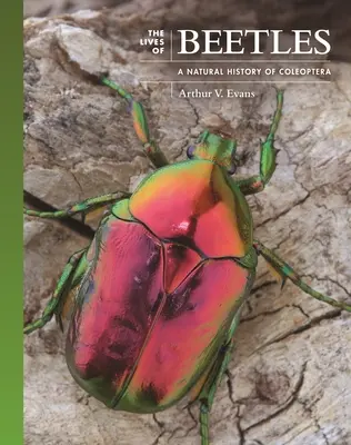 La vida de los escarabajos: Historia natural de los coleópteros - The Lives of Beetles: A Natural History of Coleoptera