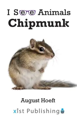 Ardilla - Chipmunk