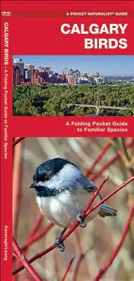 Aves de Calgary: A Folding Pocket Guide to Familiar Species - Calgary Birds: A Folding Pocket Guide to Familiar Species