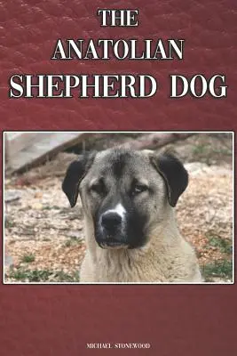 El Perro Pastor de Anatolia: Una guía completa y exhaustiva para principiantes: Compra, Tenencia, Salud, Aseo, Adiestramiento, Obediencia, Comprensión - The Anatolian Shepherd Dog: A Complete and Comprehensive Beginners Guide To: Buying, Owning, Health, Grooming, Training, Obedience, Understanding