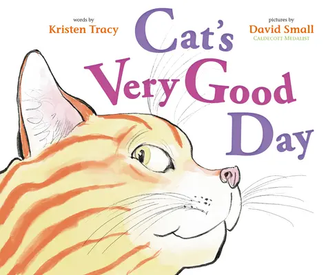 El buen día del gato - Cat's Very Good Day