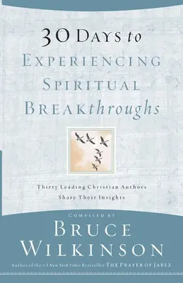 30 Días para Experimentar Avances Espirituales: Treinta Autores Cristianos Comparten Sus Ideas - 30 Days to Experiencing Spiritual Breakthroughs: Thirty Top Christian Authors Share Their Insights