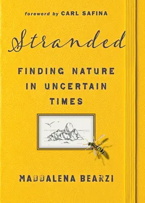 Varados: Encontrar la naturaleza en tiempos inciertos - Stranded: Finding Nature in Uncertain Times