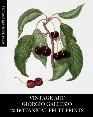 Arte Vintage: Giorgio Gallesio 20 Botanical Fruit Prints - Vintage Art: Giorgio Gallesio 20 Botanical Fruit Prints