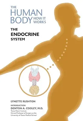 El sistema endocrino - The Endocrine System