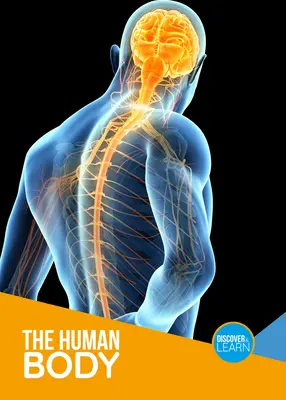 El cuerpo humano - The Human Body