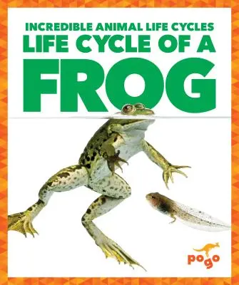 Ciclo de vida de la rana - Life Cycle of a Frog