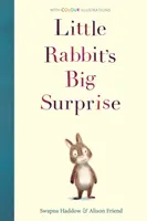 La gran sorpresa del conejito - Little Rabbit's Big Surprise