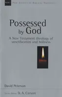 Poseídos por Dios - Teología neotestamentaria de la santificación y la santidad (Peterson David (Autor)) - Possessed by God - New Testament Theology Of Sanctification And Holiness (Peterson David (Author))