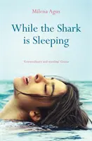 Mientras el tiburón duerme - While the Shark is Sleeping