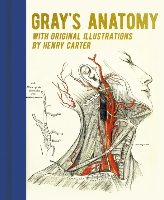 Anatomía de Gray - Con ilustraciones originales de Henry Carter - Gray's Anatomy - With Original Illustrations by Henry Carter