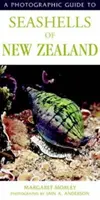 Guía fotográfica de conchas marinas de Nueva Zelanda - Photographic Guide To Seashells Of New Zealand