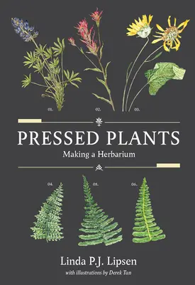 Plantas prensadas: Cómo hacer un herbario - Pressed Plants: Making a Herbarium