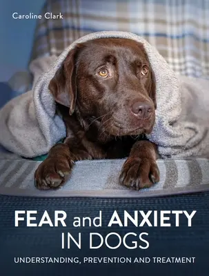 Miedo y Ansiedad en Perros - Fear and Anxiety in Dogs