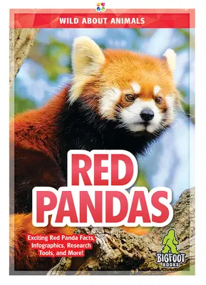 Pandas rojos - Red Pandas