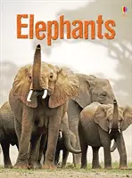 Elefantes - Elephants