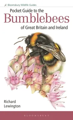 Guía de bolsillo de los abejorros de Gran Bretaña e Irlanda - Pocket Guide to the Bumblebees of Great Britain and Ireland