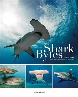 Shark Bytes: Historias de buceo con lo extraño y lo bello - Shark Bytes: Tales of Diving with the Bizarre and the Beautiful