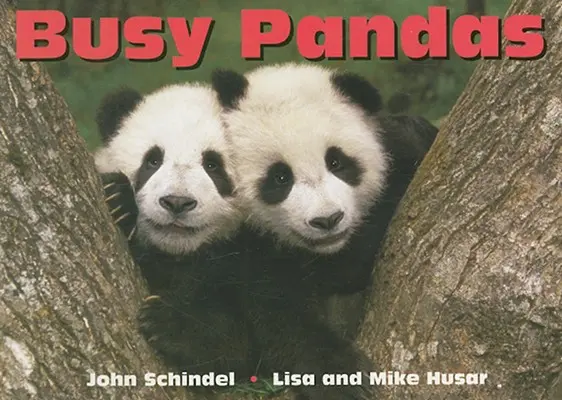 Pandas ocupados - Busy Pandas