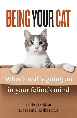 Ser su gato: lo que realmente pasa por la mente de su felino - Being Your Cat: What's Really Going on in Your Feline's Mind