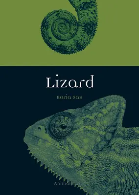 Lagarto - Lizard