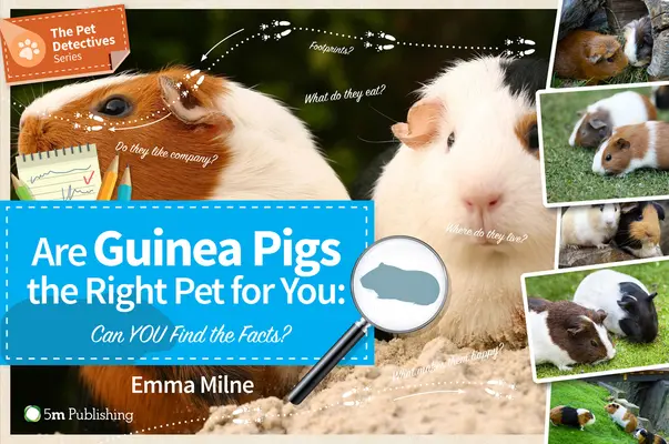 ¿Son las cobayas la mascota adecuada? ¿Puede usted encontrar los hechos? - Are Guinea Pigs the Right Pet for You: Can You Find the Facts?