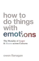 Cómo hacer cosas con las emociones: La moralidad de la ira y la vergüenza en las distintas culturas - How to Do Things with Emotions: The Morality of Anger and Shame Across Cultures