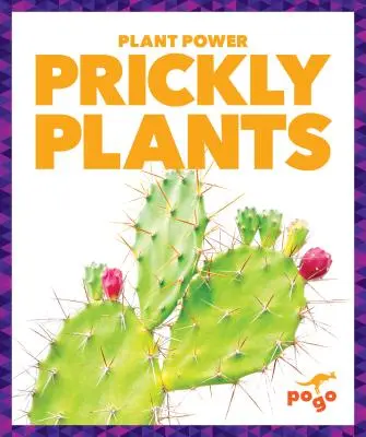 Plantas espinosas - Prickly Plants