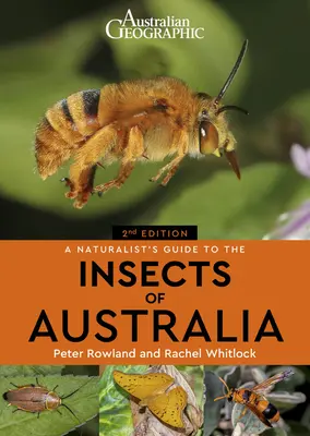 Guía naturalista de los insectos de Australia - A Naturalist's Guide to the Insects of Australia