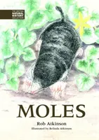 Topos - Moles