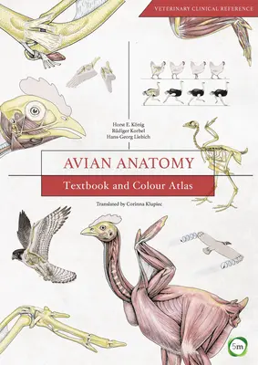 Anatomía aviar: libro de texto y atlas en color - Avian Anatomy: Textbook and Colour Atlas