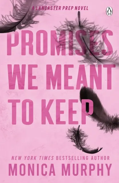 Promises We Meant To Keep - La sensación de TikTok que emociona y desmaya - Promises We Meant To Keep - The emotionally gripping and swoon-worthy TikTok sensation