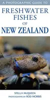 Guía fotográfica de los peces de agua dulce de Nueva Zelanda - Photographic Guide To Freshwater Fishes Of New Zealand