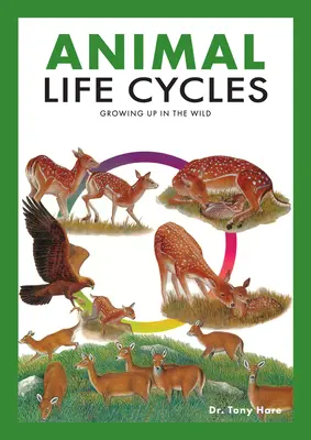 Ciclos de vida de los animales: Descubriendo cómo viven los animales en la naturaleza - Animal Life Cycles: Discovering How Animals Live in the Wild