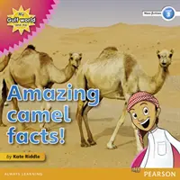 Mi mundo del Golfo y yo Nivel 3, lectura de no ficción: Datos asombrosos sobre los camellos - My Gulf World and Me Level 3 non-fiction reader: Amazing camel facts!