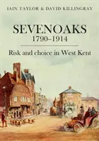 Sevenoaks 1790-1914: Riesgo y elección en el oeste de Kent - Sevenoaks 1790-1914: Risk and Choice in West Kent