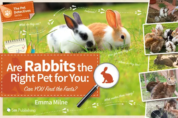 ¿Es el conejo la mascota adecuada? ¿Puede encontrar la información? - Are Rabbits the Right Pet for You: Can You Find the Facts?