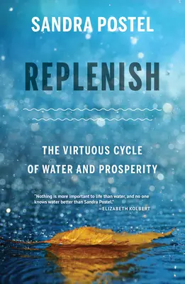 Replenish: El ciclo virtuoso del agua y la prosperidad - Replenish: The Virtuous Cycle of Water and Prosperity