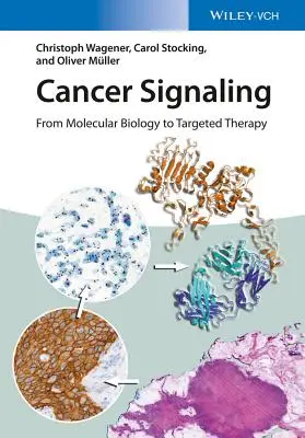 Cancer Signaling: De la biología molecular a la terapia dirigida - Cancer Signaling: From Molecular Biology to Targeted Therapy