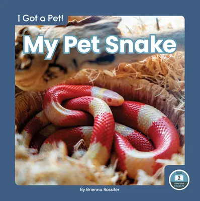 Mi serpiente - My Pet Snake