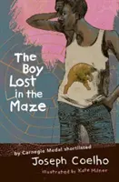 Niño perdido en el laberinto - Boy Lost in the Maze