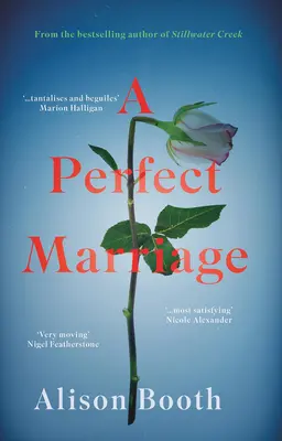 El matrimonio perfecto - Perfect Marriage