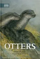 Nutrias - Otters