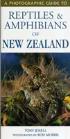 Guía fotográfica de reptiles y anfibios de Nueva Zelanda - Photographic Guide To Reptiles & Amphibians Of New Zealand