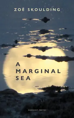 Un mar marginal - A Marginal Sea