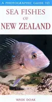 Guía fotográfica de los peces marinos de Nueva Zelanda - Photographic Guide To Sea Fishes Of New Zealand