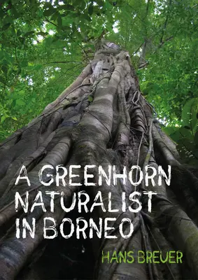 Un naturalista novato en Borneo - A Greenhorn Naturalist in Borneo