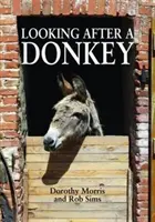 Cuidar de un burro - Looking After a Donkey